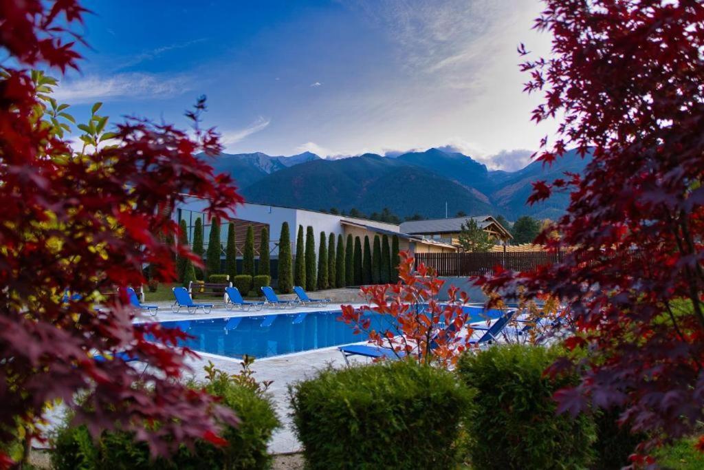 Local Hotel, Bw Signature Collection Aparthotel 3*